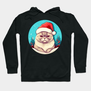 Exotic Shorthair Cat Xmas, Love Cats Hoodie